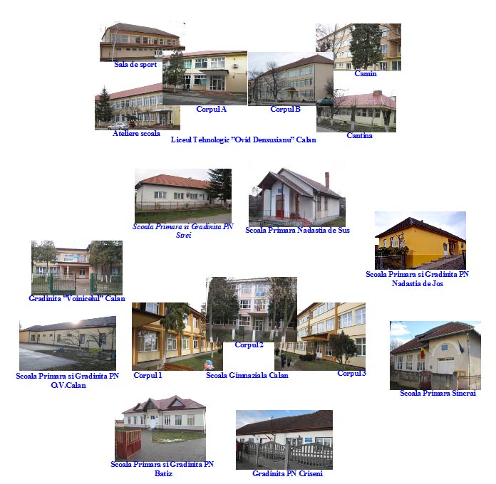 Structurile Liceului Ovid Densusianu Calan